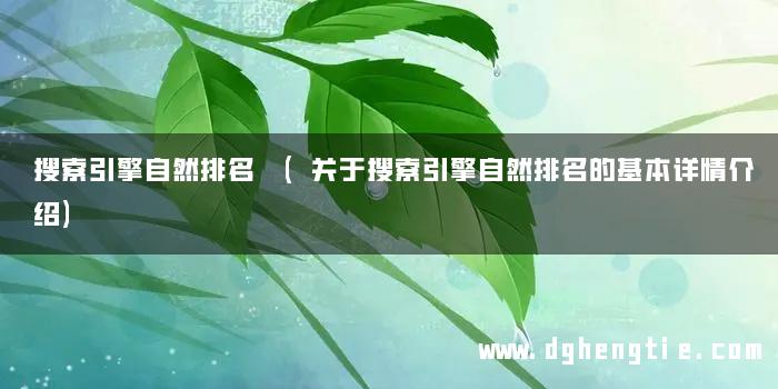 搜索引擎自然排名 (关于搜索引擎自然排名的基本详情介绍)